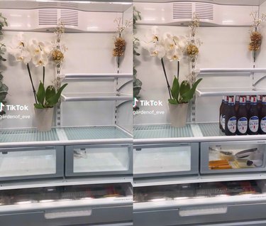 Split screen image of the inside of a refrigerator that has orchids and beer
