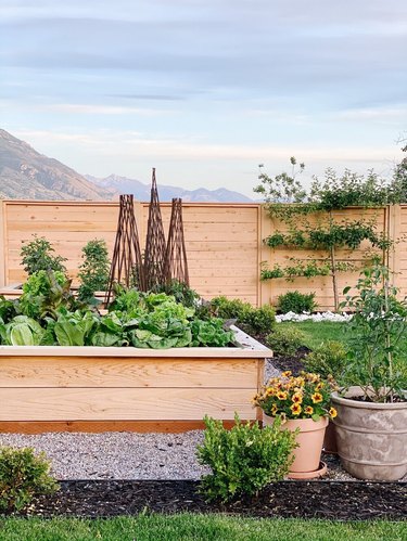 raised vegetable beds surrounded by pea gravel