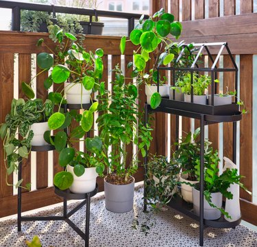 plant stand on balcony
