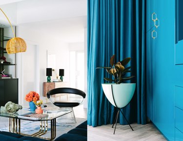 Modern living room with large potted plant, chair, coffee table, blue walls, blue curtain.
