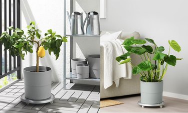 two photos of a gray ikea plant pot