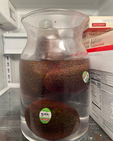 Avocados submerged in a container of water
