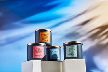 Four Bath and Body Works candles rest on a white cube, against a dark blue and yellow sunlit background. The candles are black with different colored labels and gold tops. From left to right, the candles are: Cactus Blossom, Sun-washed Citrus,  Eucalyptus Rain and Beach Weather.