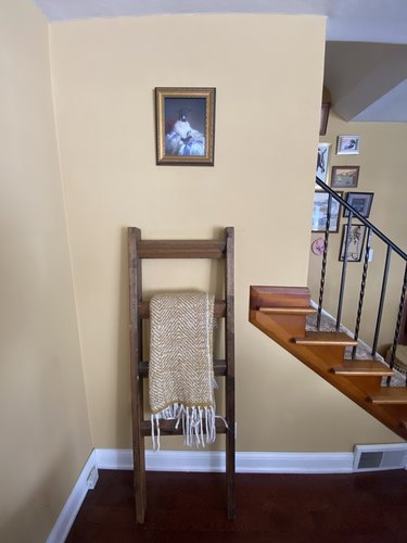 A renaissance painting of a small black dog on a light yellow wall above a blanket ladder.