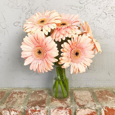 gerber daisy trader joe's flower arrangement