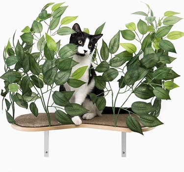 On2 Pets Cat Canopy Shelves