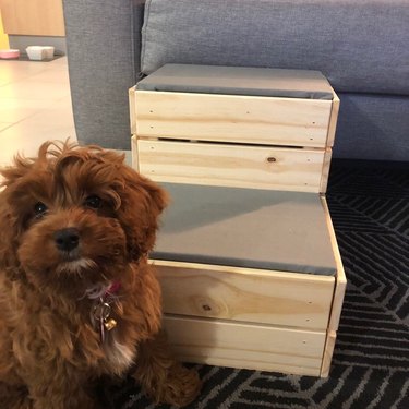Knagglig boxes dog steps