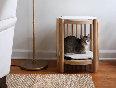 Cat tree hack sale