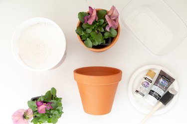 Simple Painted Pots for plants - Alice and Lois