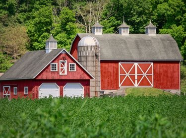 A red barn surrounded by green high grass and trees in a forest.