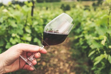 red wine in glass in vineyard