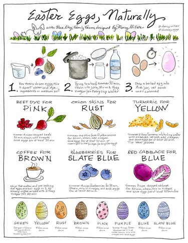 Blue Sky Family Farms and darcy miller egg dyeing instructions