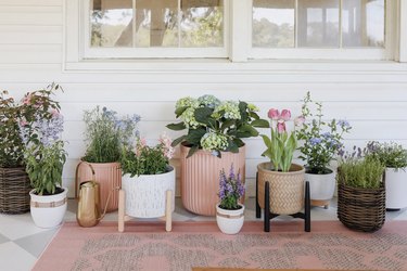 Assortment of planters and cottage garden flowers on patio