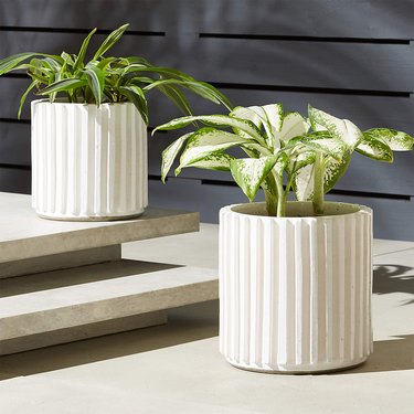 two white fluted planters outside with plants
