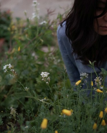 A person with long black hair in a field of wildflowers.