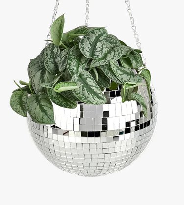 8” disco ball planter with green leafy plant inside, hanging from a chain with a white background