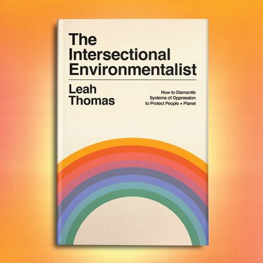 The cover of The Intersectional Environmentalist by Leah Thomas