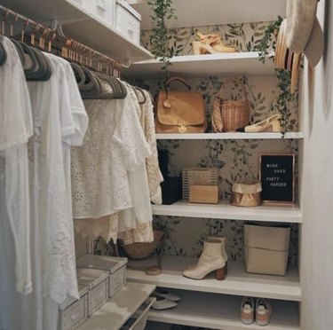 Closet with shelves and clothing wrack, wallpaper, plants,.
