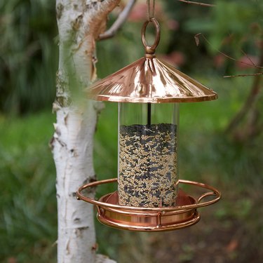 Terrain Short Solid Copper Bird Feeder