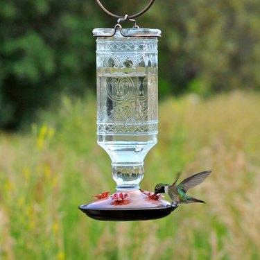 Hartsdale Fleur De Lis Living Hummingbird Feeder