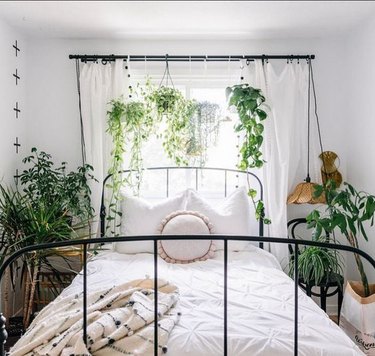 hanging plants in bedroom window