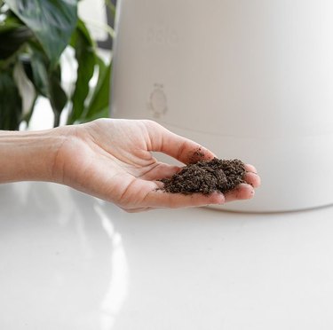 lomi compost fertilizer in person's hand