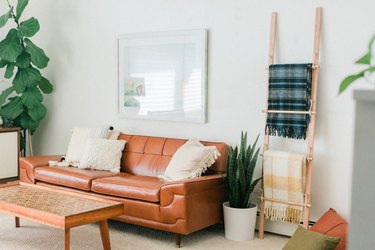 brown leather sofa in bright room