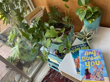 Books by Mae Respicio on her desk by plants