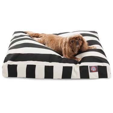 striped dog bed