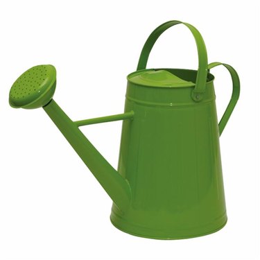 tierra garden watering can