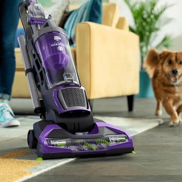 A Dirt Devil vacuum vacuuming a rug in the living room; a small dog runs nearby