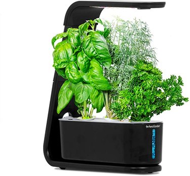 aerogarden sprout led indoor garden