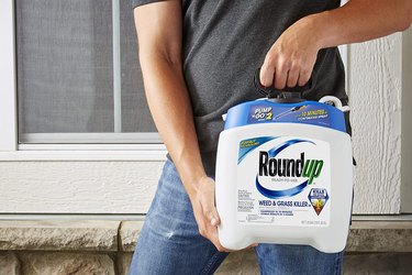Roundup Weed and Grass Killer III Ready-to-Use Pump 'N Go Sprayer