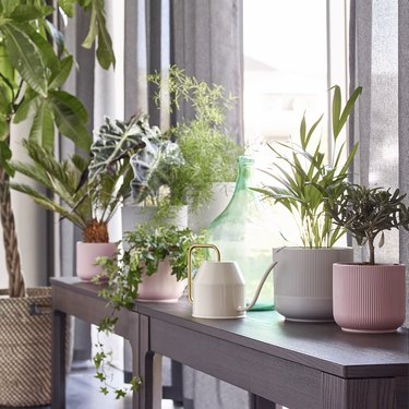 Best Indoor Planters ikea