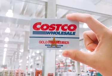 Hand holding Costco membership gift card