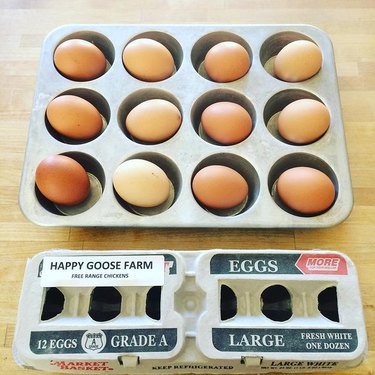 brown eggs in muffin tin with egg carton