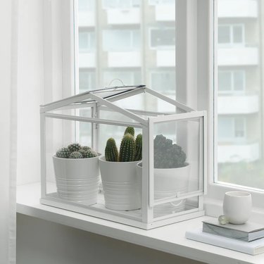 best places to buy indoor plant accessories ikea