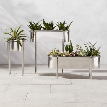best places to buy indoor plant accessories cb2
