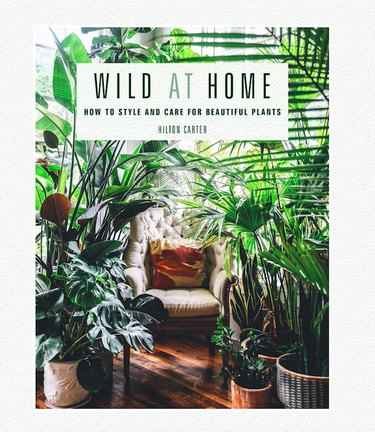 Wild at Home: How to Style and Care for Beautiful Plants, $16.89