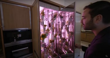 Tresor Cache kitchen fridge for plants