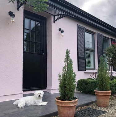 lilac cottage with Black shutters and trim