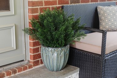 Faux plant near exterior door and bench