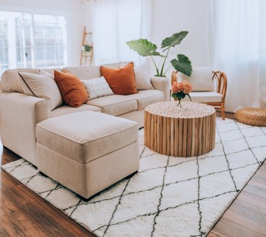 well-decorated living room with rug