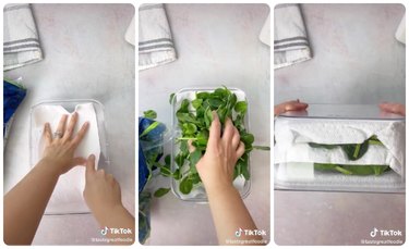 How to store spinach