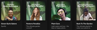 Spotify Released New Playlists Curated Especially for Plant Parents