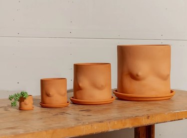 Four boob-shaped planters in different sizes from Humboldt House.