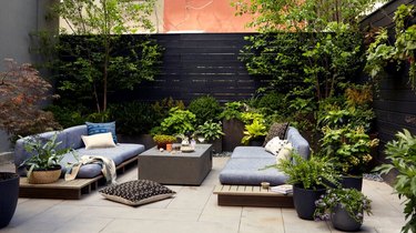 Outdoor patio area with couches and plants