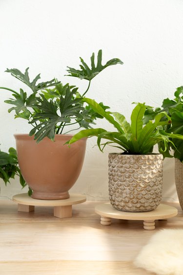 DIY wood plant risers with potted plants