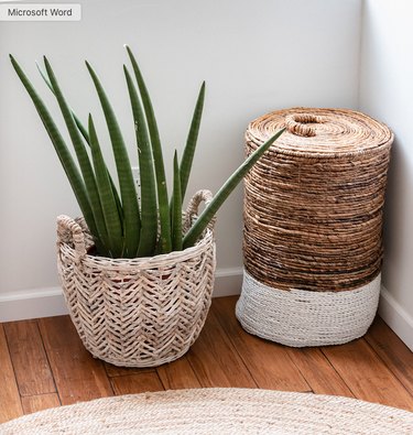 Basket next to plant in basket holder