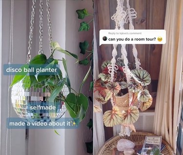 Split screen of a disco ball planter on the left and a macrame planter on the right